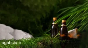 باور های غلط در طب سنتی