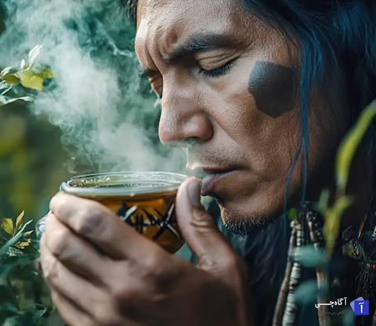 روش های درمانی سرخپوستان