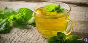 دمنوش نعناع