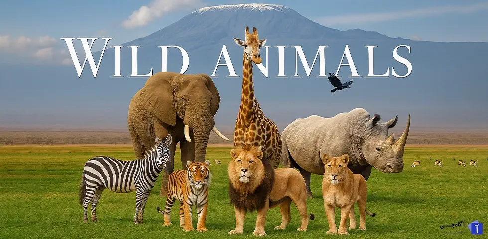 بسیاری تصور میکنند که شیر یا کوسه سفید این عنوان را دارد، اما واقعیت چیز دیگری است.