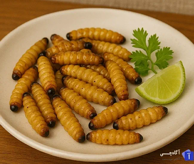 چندش آورترین غذاهای دنیا